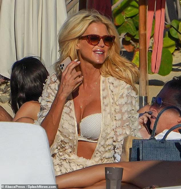 Victoria Silvstedt đăng quang Hoa hậu Thụy Điển năm 1993. Cùng năm, cô đại diện quốc gia tham dự cuộc thi Hoa hậu Thế giới và lọt top 10.