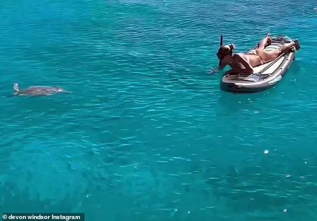 Người đẹp đang ngắm nhìn rùa biển giữa làn nước xanh mát.