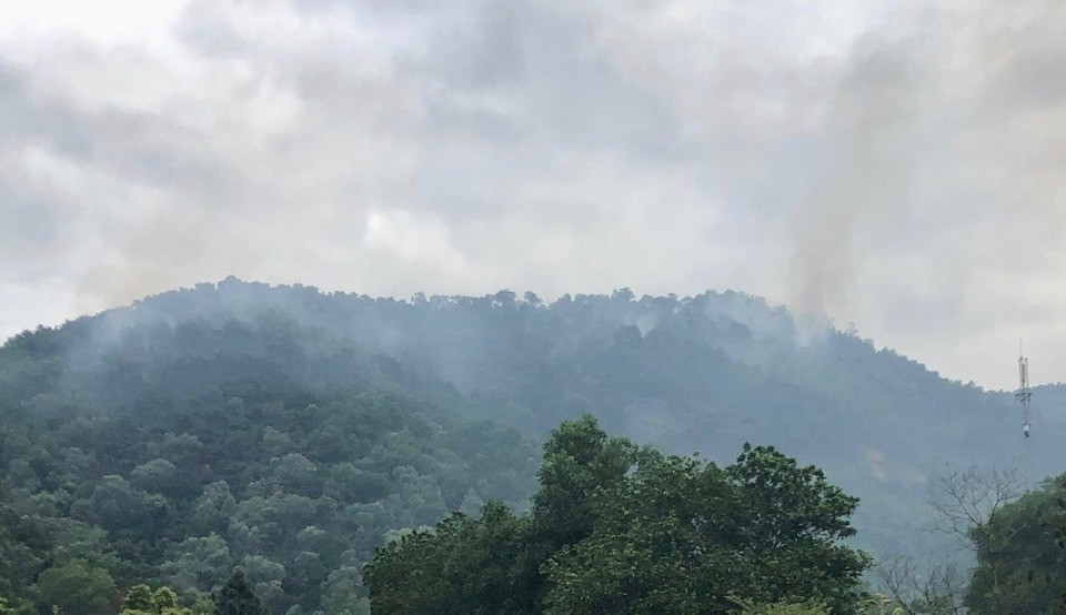 Hình ảnh sau khi vụ cháy rừng thứ nhất được dập tắt