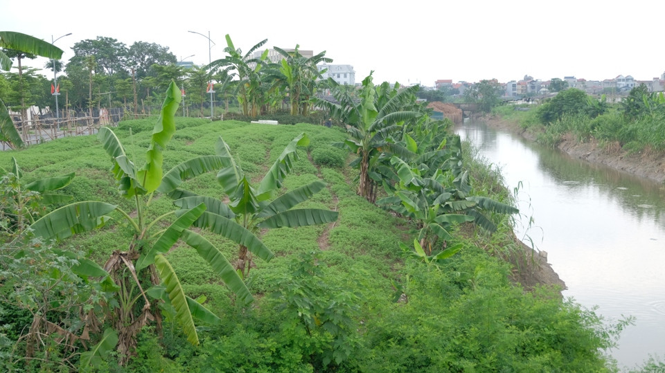 Dự án cải tạo thoát nước sông Pheo dự kiến hoàn thành năm 2023