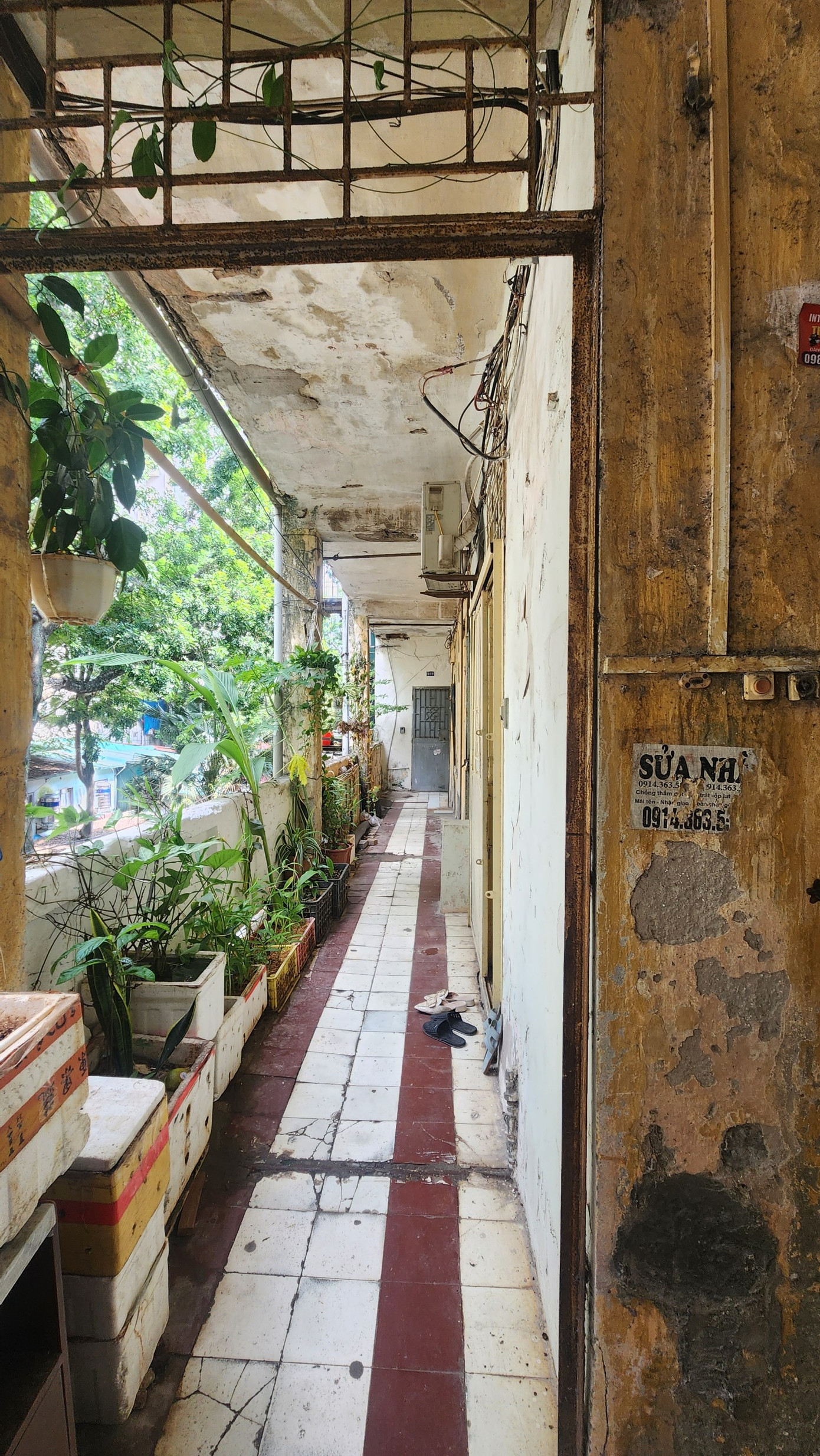 Hành lang nhỏ nhưng vẫn được người dân tận dụng để trồng cây, trồng rau.