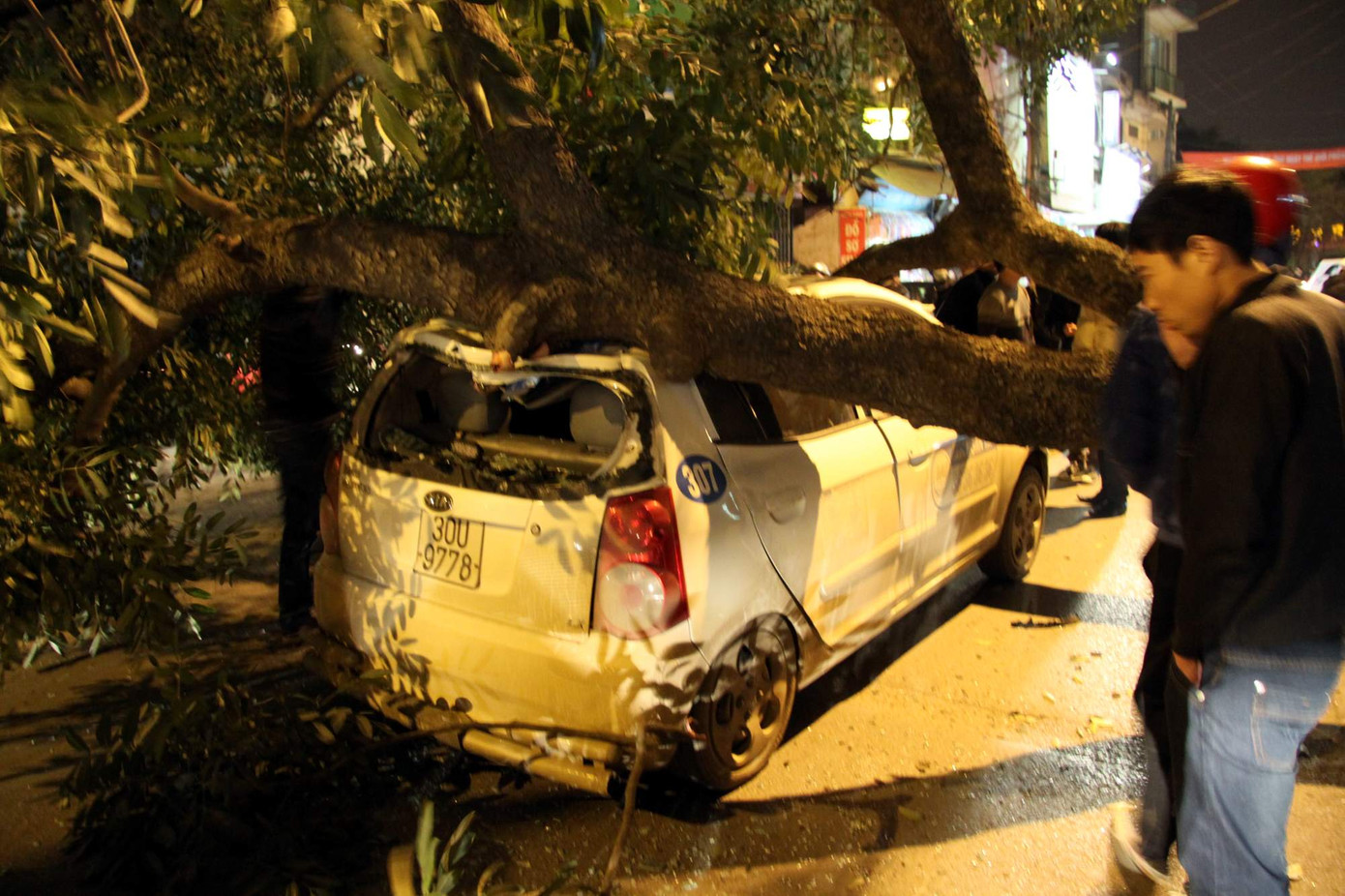 Xe taxi bị cây đổ đè lên bẹp dí