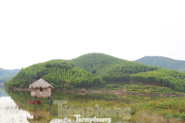 Dự án Khu công viên nghĩa trang sinh thái xã Đông Hưng được thực hiện trên khu đất có tổng diện tích khoảng 150,48 ha đất rừng sản xuất (chiếm 99,46%).