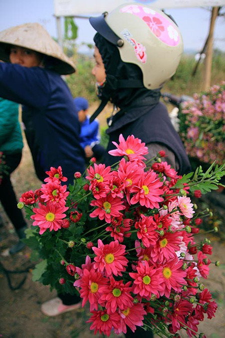 6 chợ hoa Tết nổi tiếng của Hà Nội ảnh 1