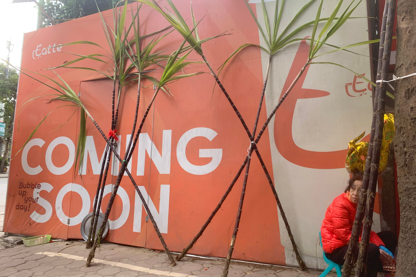 Mía lộc được dựng "kiềng 3 chân" xuất hiện trên phố Hà Nội