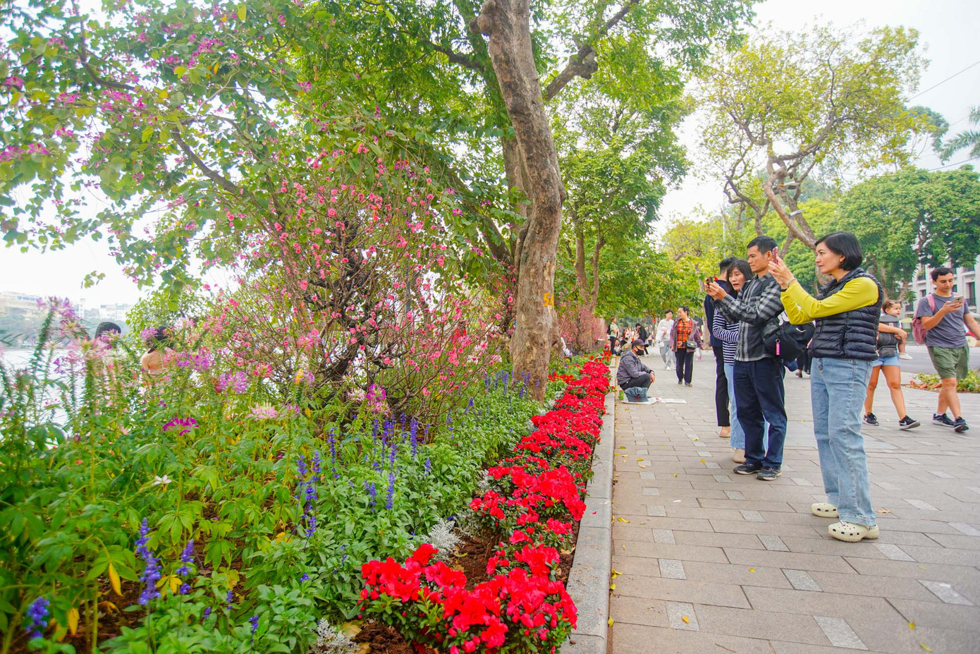 Người dân và du khách ghi lại hình ảnh thảm hoa đầy màu sắc ở hồ Hoàn Kiếm.