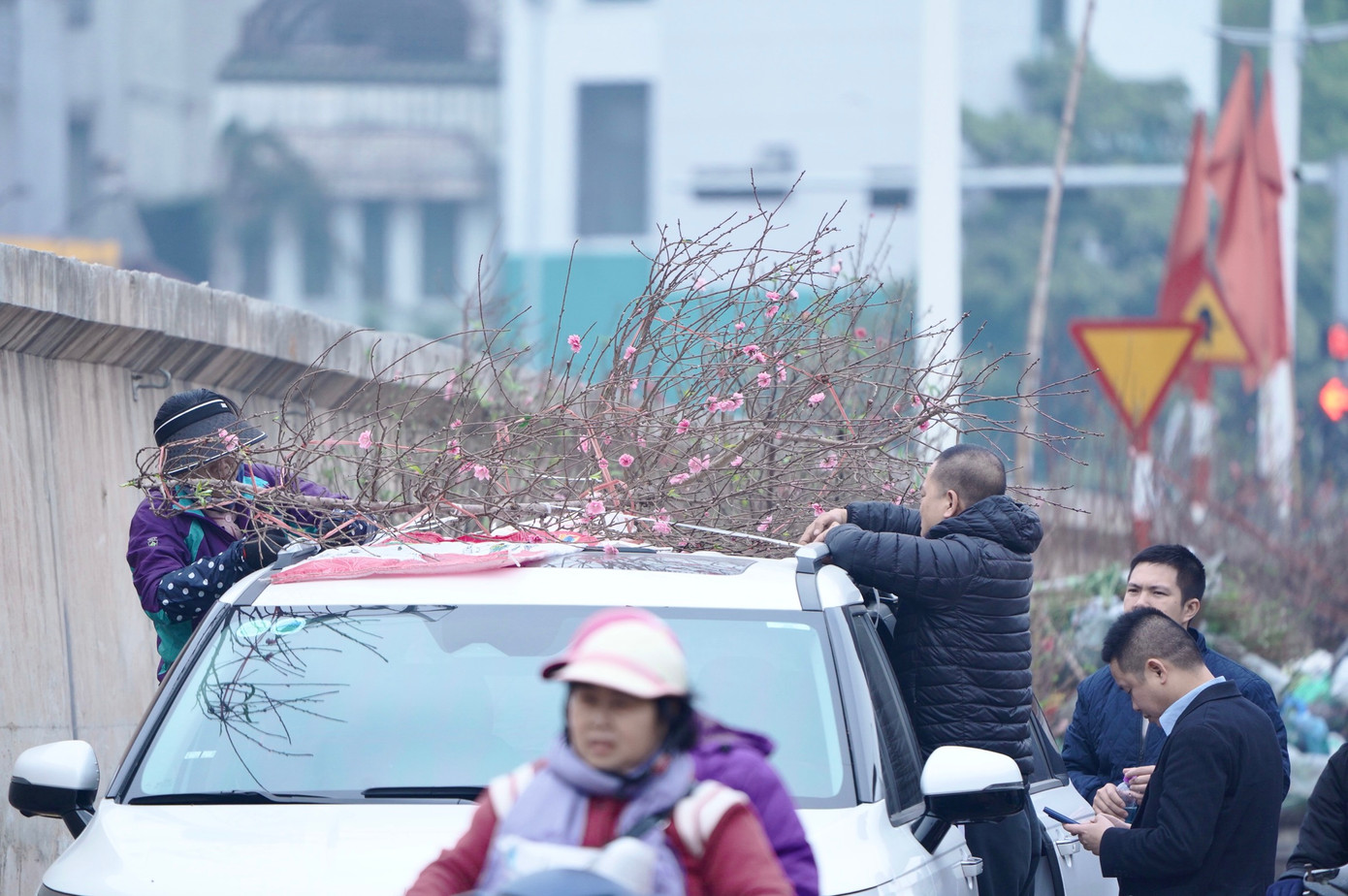 Với dòng cành đào to, đào huyền... sẽ có nhiều lựa chọn hơn.