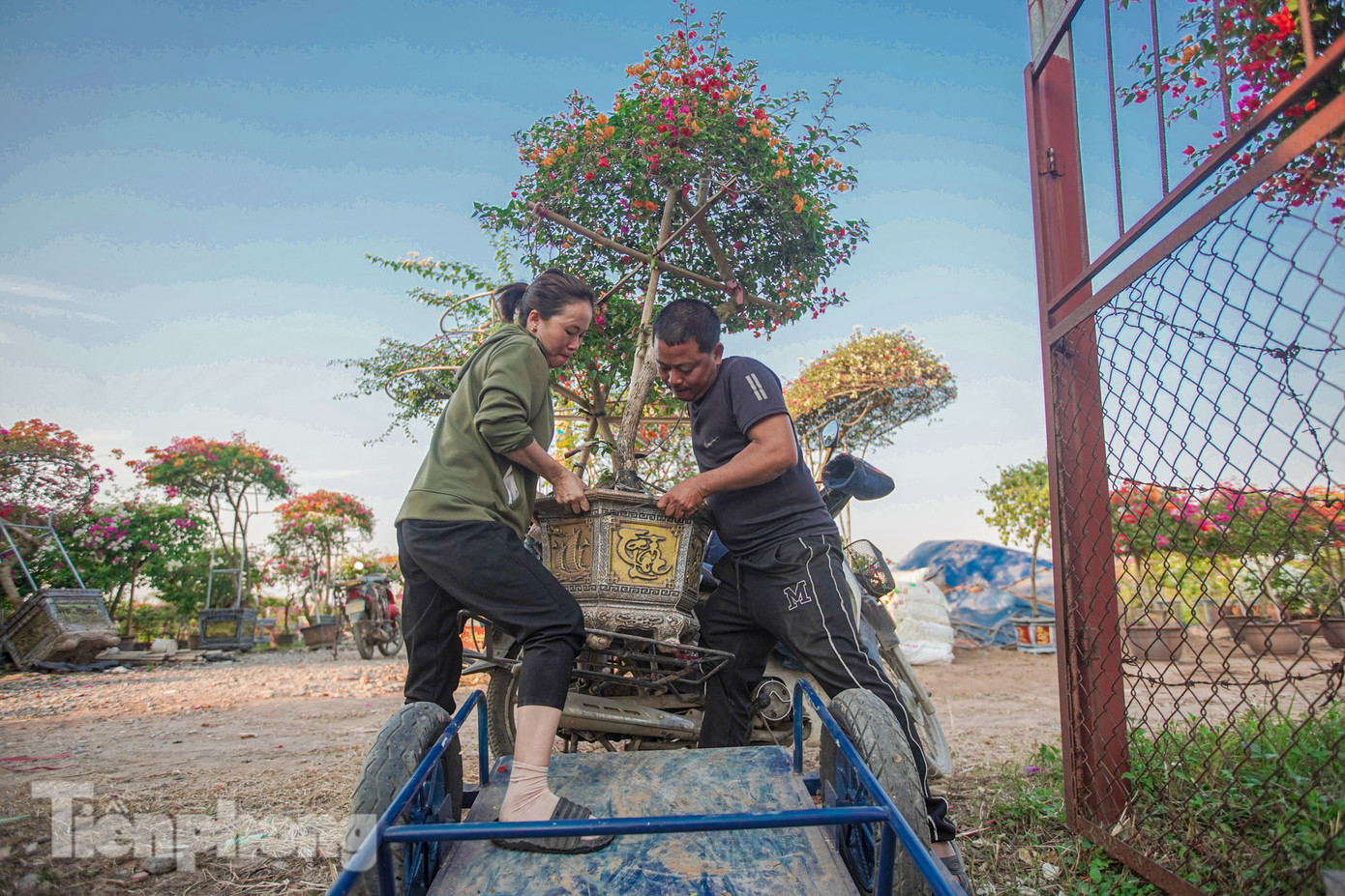 "Nhiều người dân ở xã bắt đầu chuyển sang bán qua các trang thương mại điện tử, quảng cáo, livestream trên facebook, tiktok... Từ đó mà cũng nhiều người biết đến làng hoa giấy nhiều hơn", anh Bình chia sẻ.
