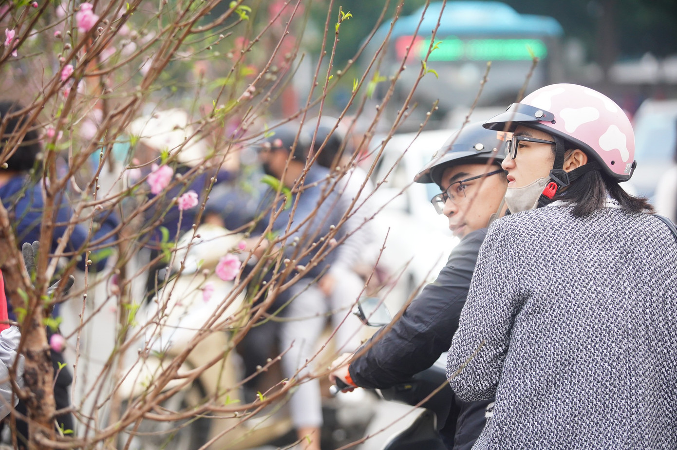 Đào cành được nhiều người dân săn đón. Tuy nhiên giá đào cành cao gấp 2-3 lần so với năm trước nên người tiêu dùng e dè lựa chọn cho hợp với túi tiền.