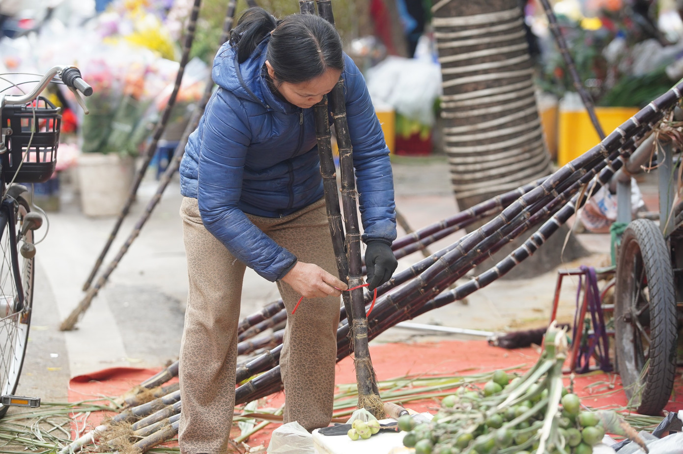 Theo quan niệm của người xưa, cây mía là biểu tượng của sự giao hòa, kết nối giữa hai thế giới âm - dương, sẽ giúp ông bà tổ tiên có thể chung vui mừng năm mới cùng con cháu.