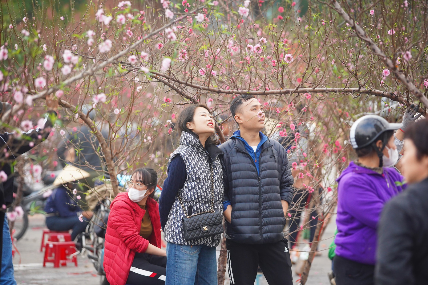 "Bắt đầu kỳ nghỉ, gia đình tôi mới có thời gian, tranh thủ sắm cành đào về chơi Tết. Tuy nhiên giá đào năm nay khá cao, một cành đào tương tự năm ngoái mua với giá 1,5 triệu đồng, năm nay bán với giá 3 triệu đồng", anh Dũng (Đống Đa, Hà Nội) cho biết.