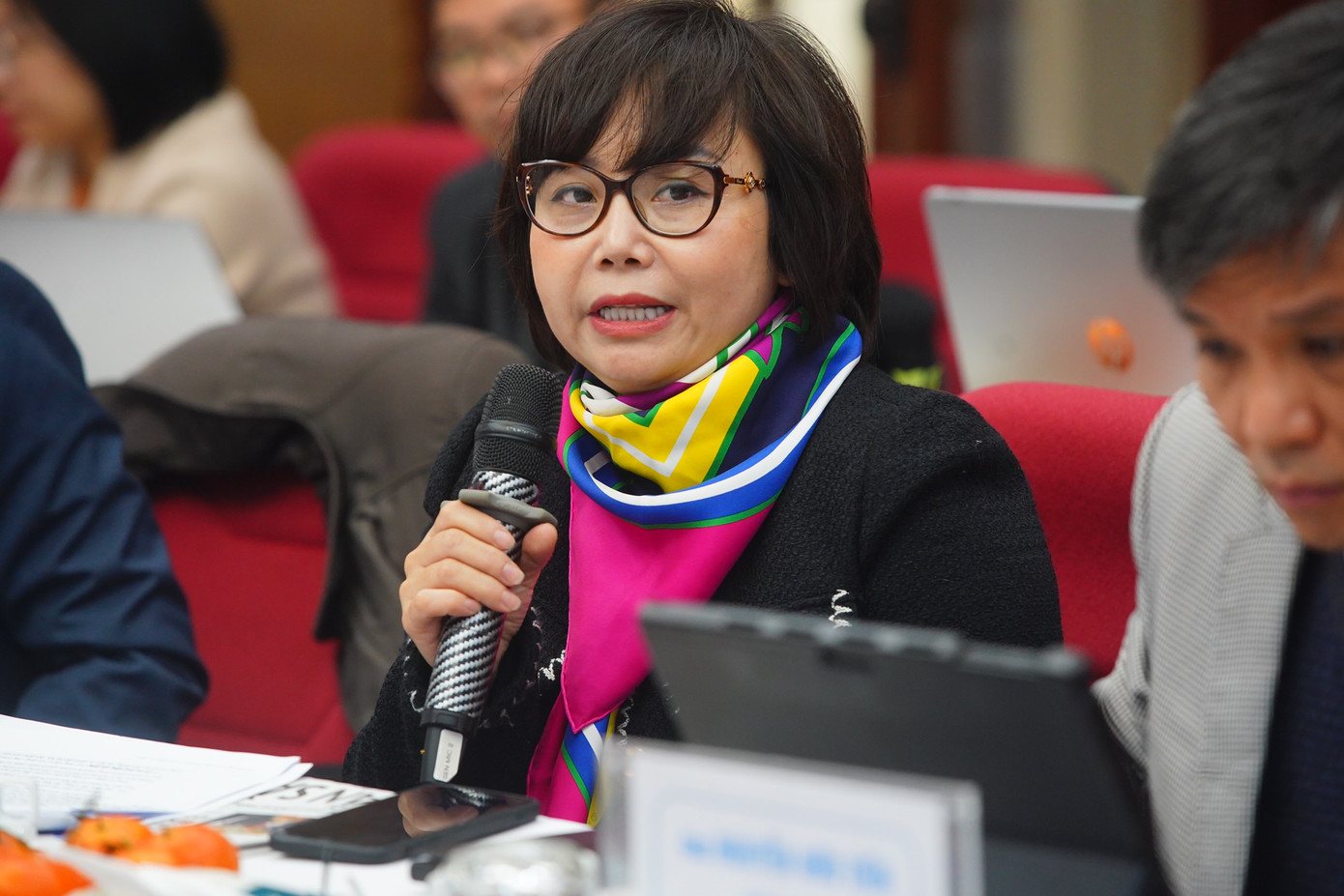 Bà Nguyễn Hoàng Ánh. Bà Nguyễn Hoàng Ánh.