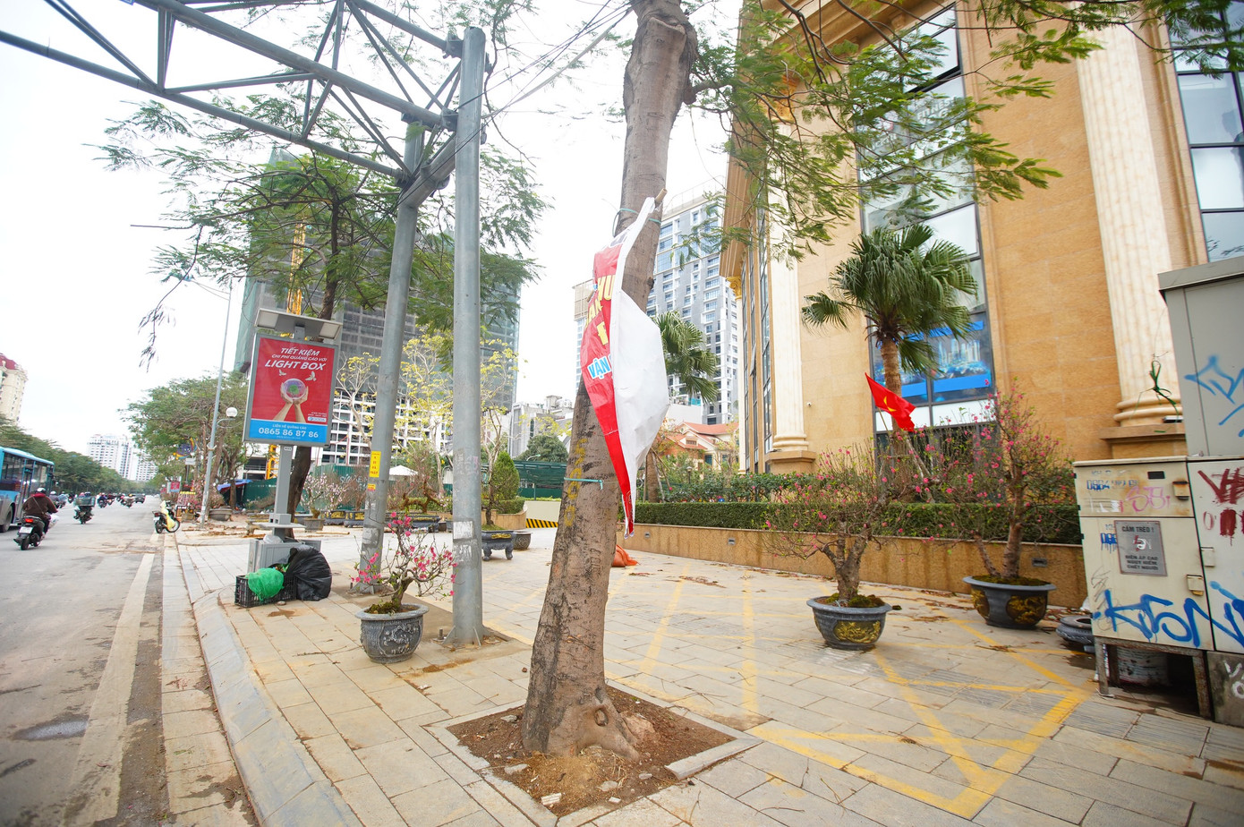 Không còn một bóng tiểu thương bán hàng tại khu vực này, chỉ còn lác đác vài chậu cây đào.