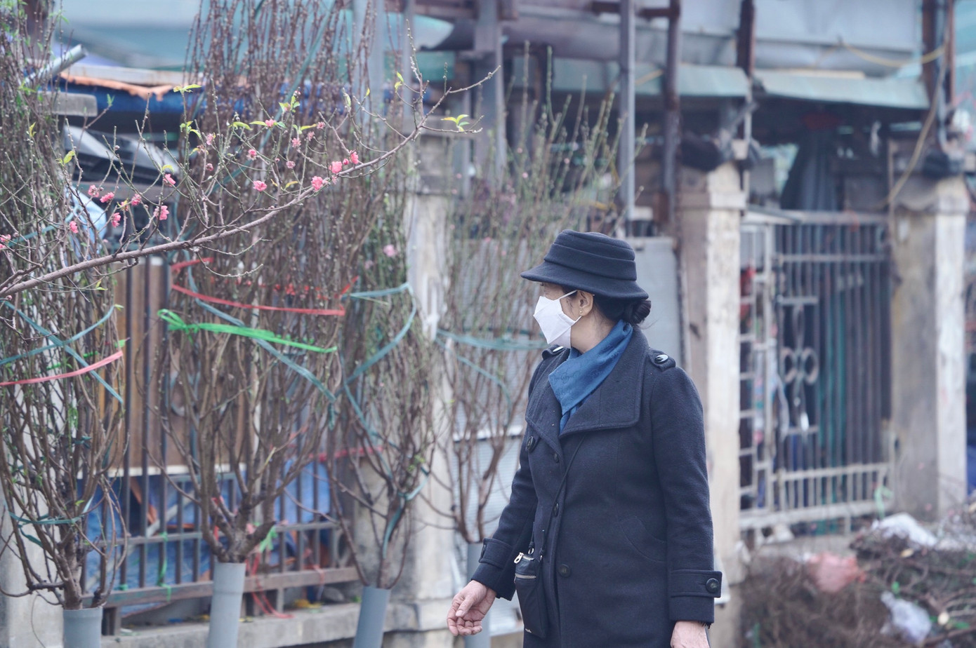 Tiểu thương cũng cho biết, những cành đào năm nay ra hoa muộn nên rất khó bán trong ngày rằm tháng Chạp.