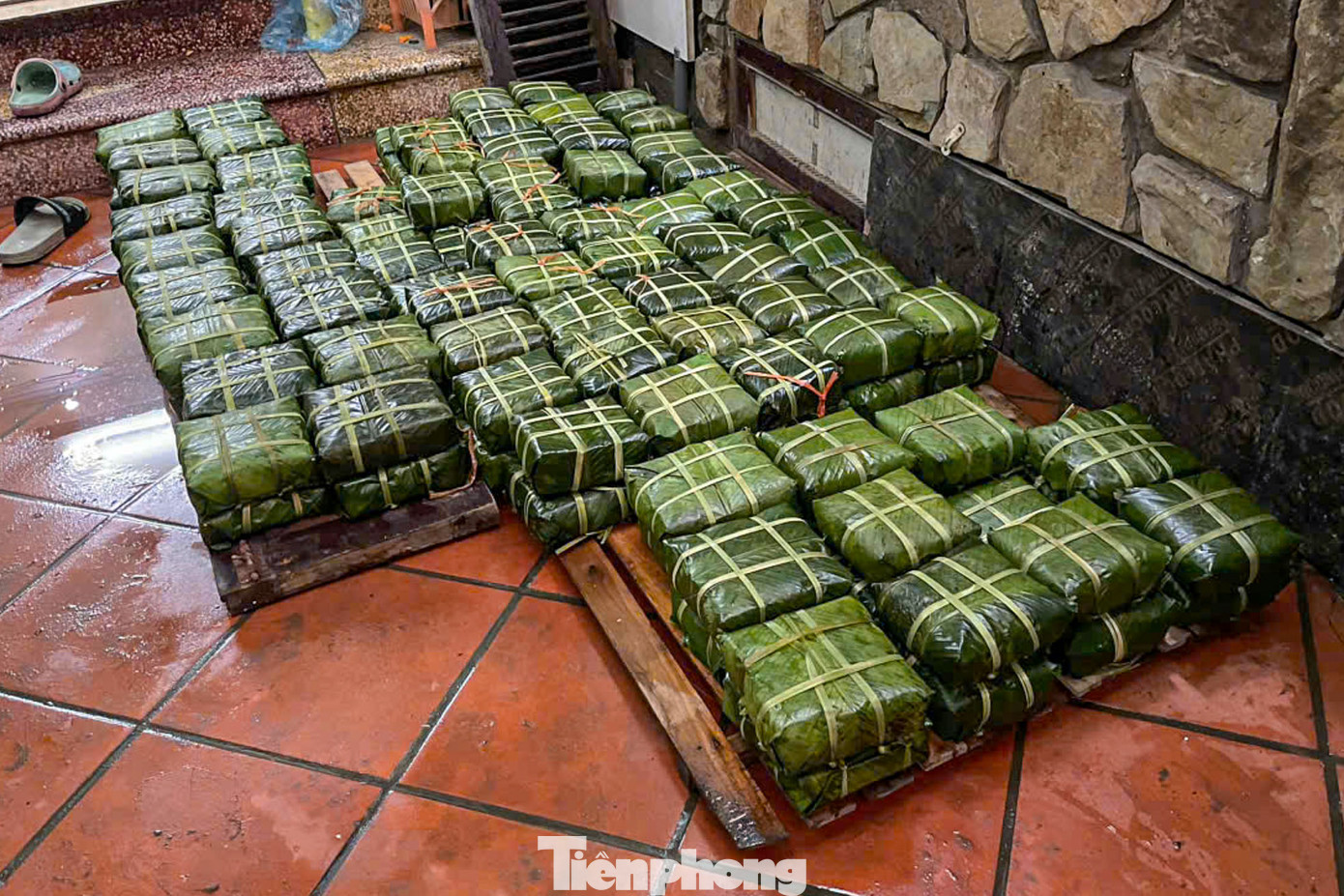 200 chiếc bánh chưng gói vuông vắn sau khi được nấu chín.