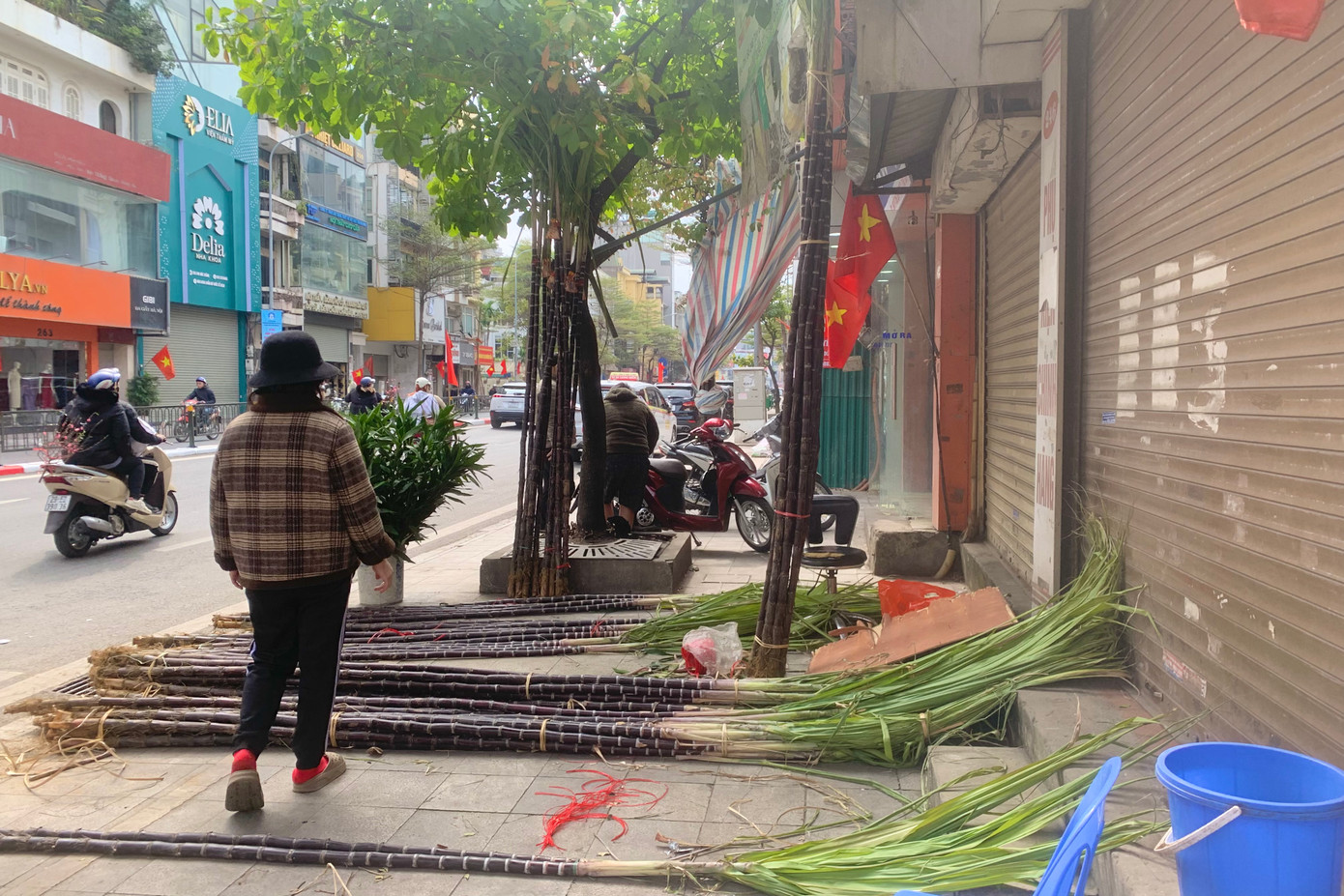 Hàng trăm cây mía lộc được tiểu thương tập kết trên phố Tôn Đức Thắng.
