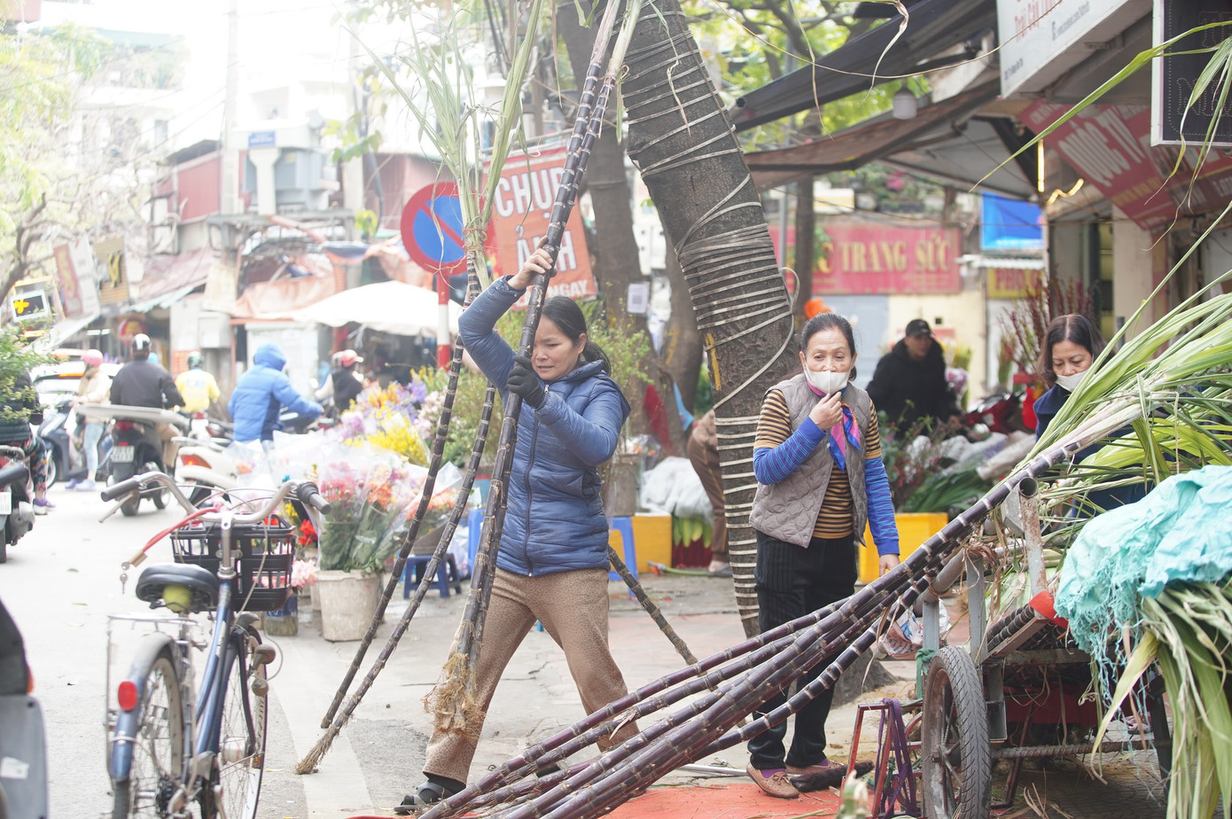 Mía lộc đang được bán với giá 120.000 đồng/cặp, nhưng sau khoảnh khắc giao thừa, giá sẽ là 200.000 đồng/cặp.