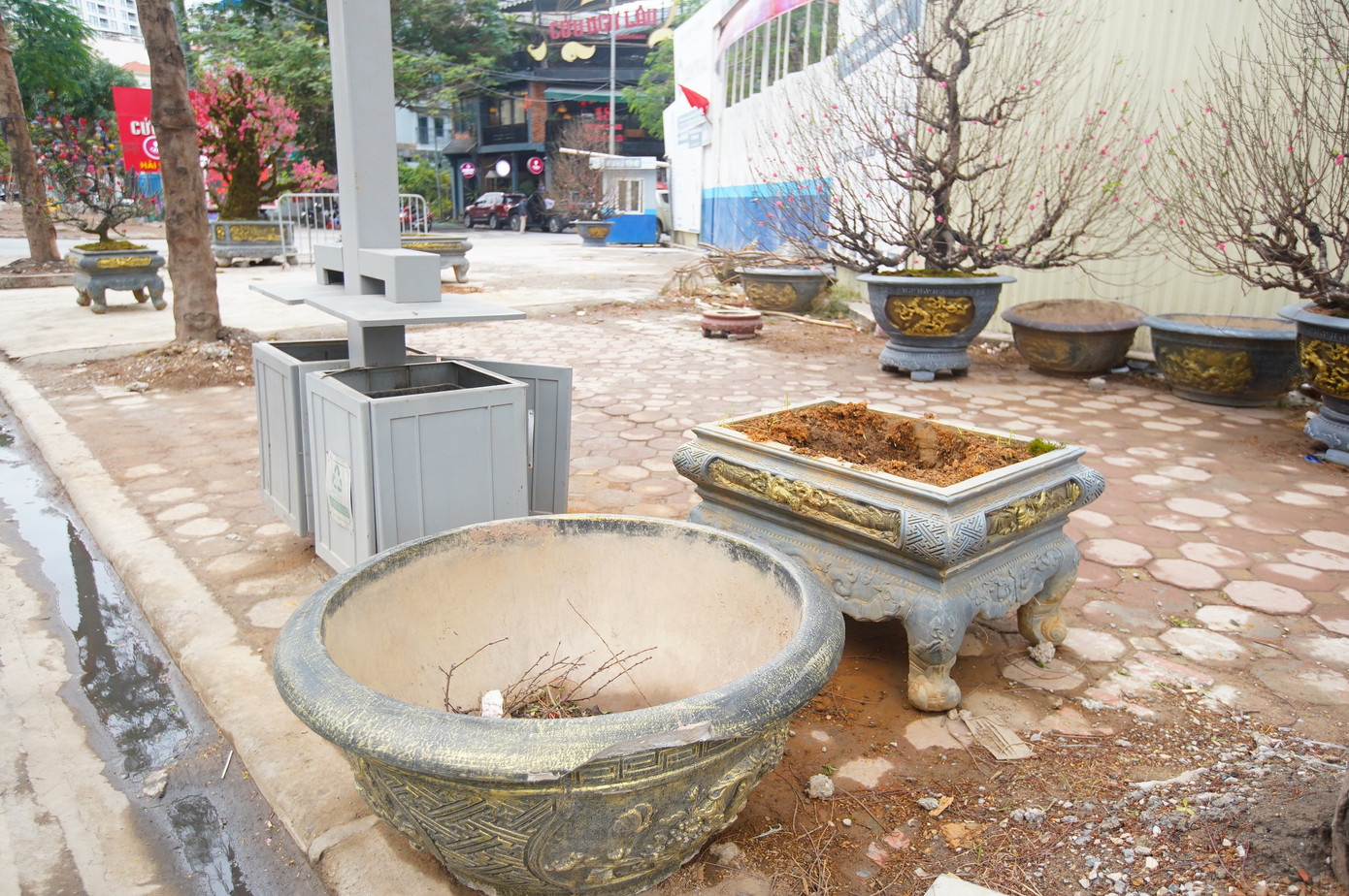 Chậu hoa sót lại trên vỉa hè.