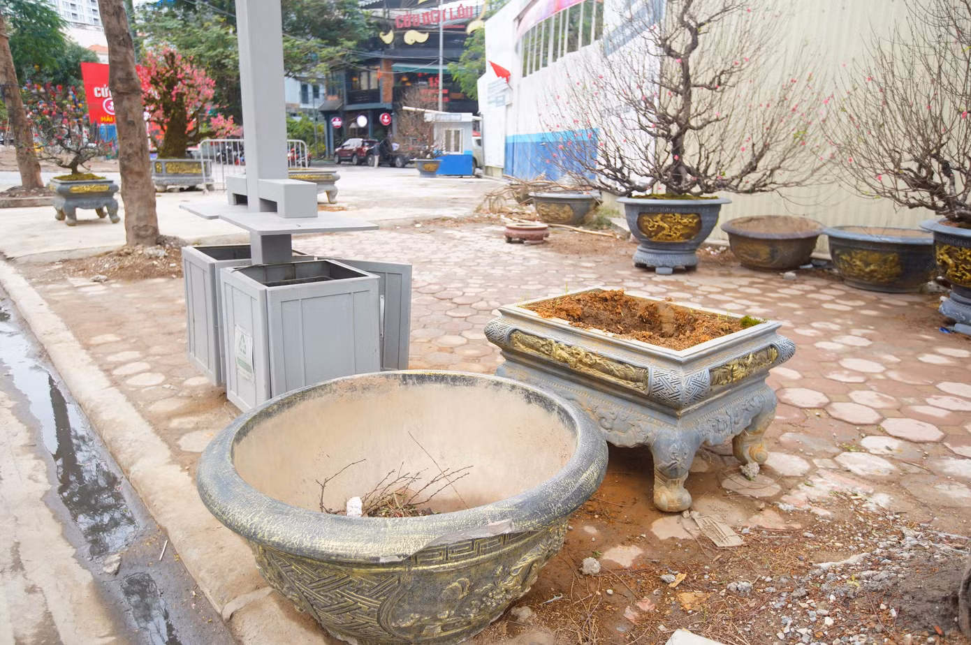 Chậu hoa sót lại trên vỉa hè.