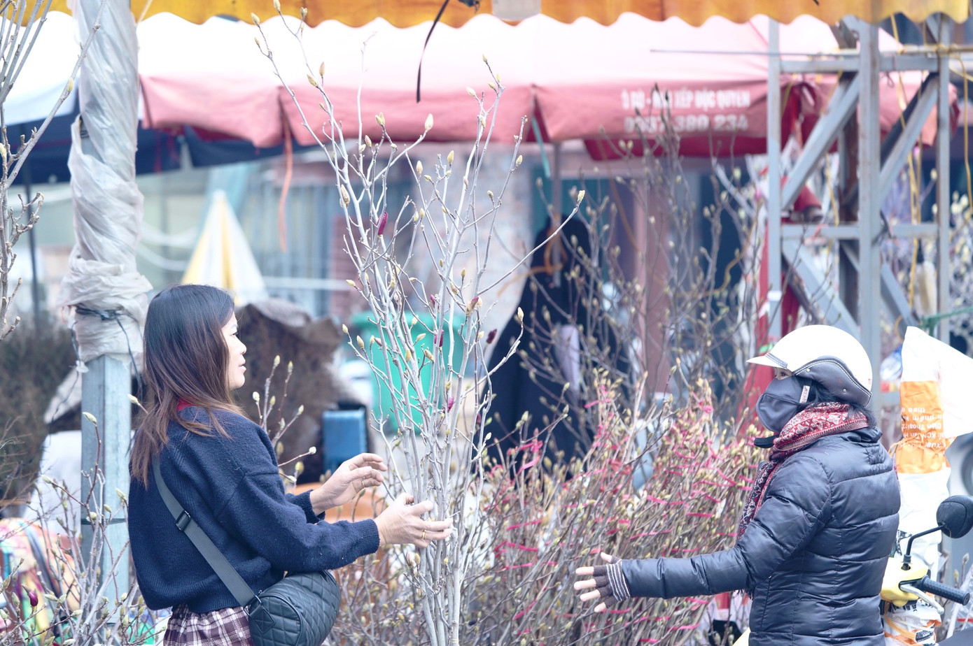 Nhiều khách hàng chọn những loại hoa khác thay vì hoa đào để cúng rằm tháng Chạp.