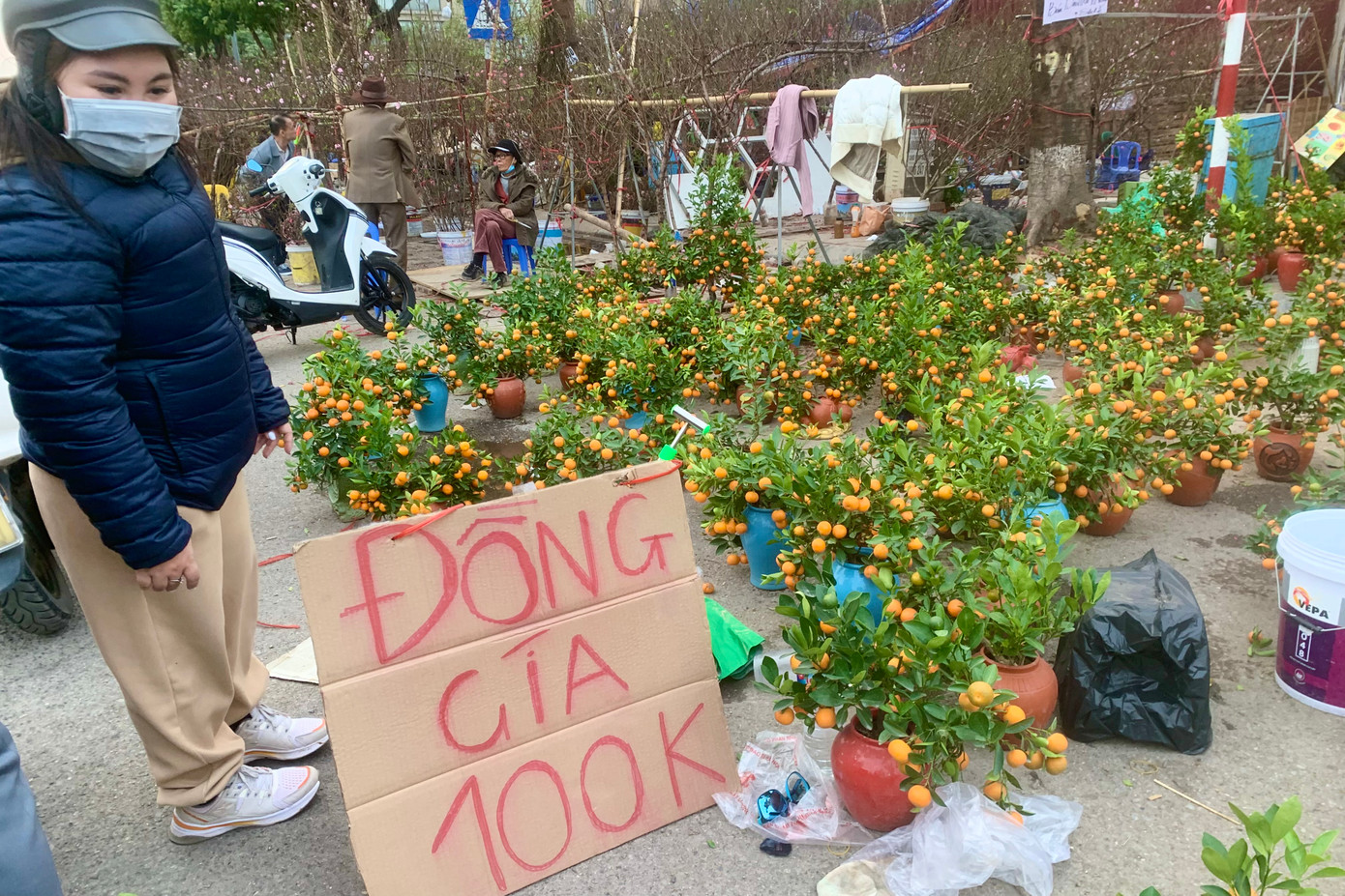 Một nhà vườn bán quất cảnh, chậu nhỏ đồng giá 100.000 đồng, trước đó được bán với giá 150.000- 200.000 đồng.