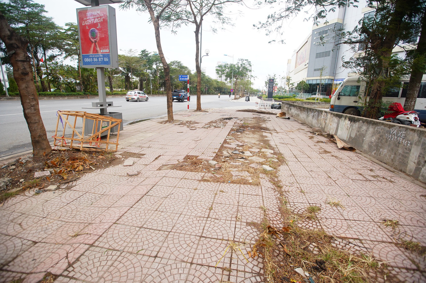 Cảnh khác lạ trên vỉa hè đường Võ Chí Công những ngày cận Tết.