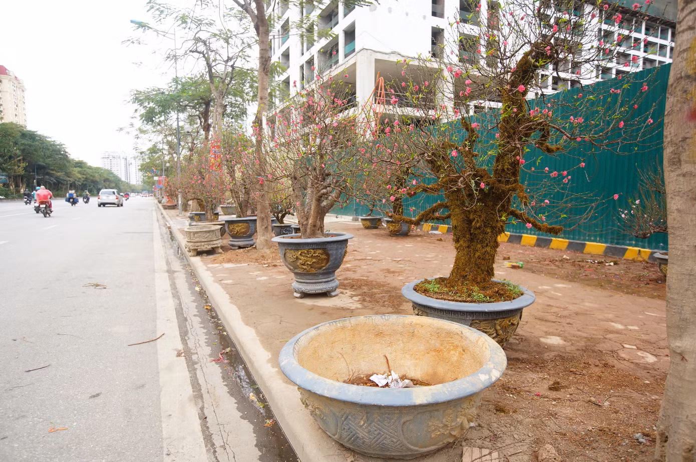 Được biết, do sức mua năm nay giảm, không bán được hàng nên các tiểu thương khu vực này quyết định dọn hàng về sớm.