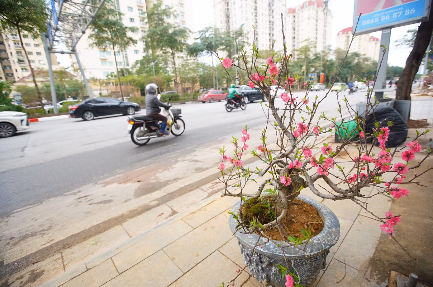 Cảnh ảm đạm, vắng vẻ ở khu phố này dịp Tết khiến nhiều người dân đi qua ngỡ ngàng.