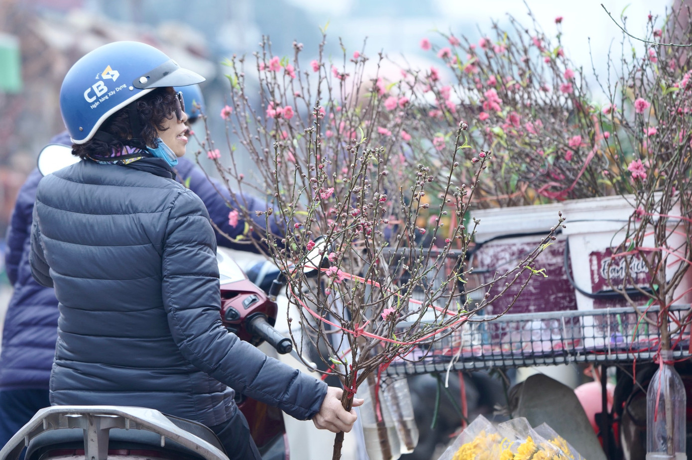 "Tôi lượn khắp chợ nhưng không chọn được cành nào ưng ý, nhiều cành đẹp thì hoa và lộc ít, mà giá thì lại cao", một khách hàng chia sẻ.