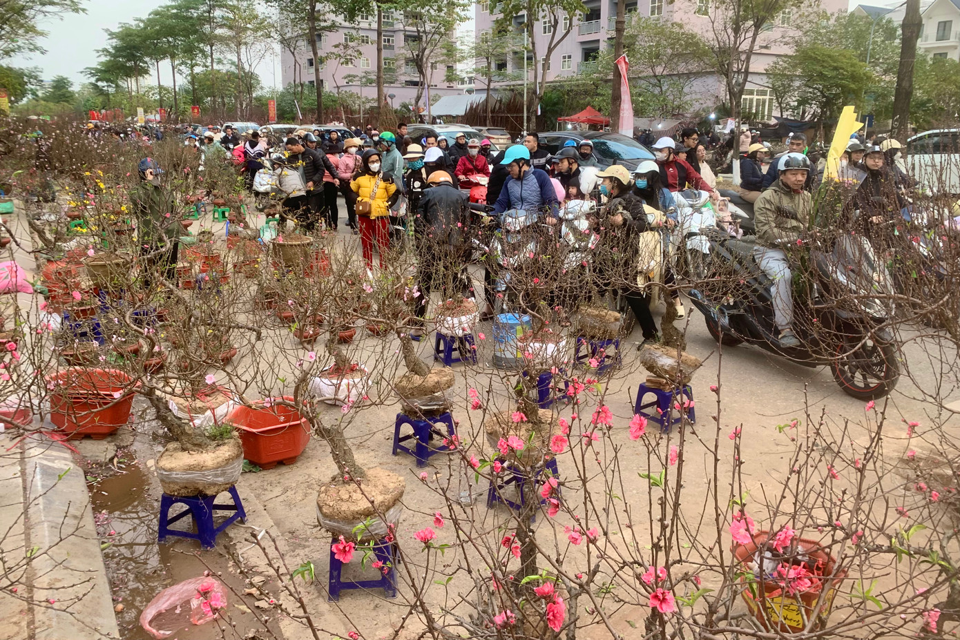 Ghi nhận của PV ngày 28 Tết (27/1), chợ hoa Tết ở quận Hoàng Mai còn rất nhiều sản phẩm đào, quất, mai... được bày bán dọc vỉa hè, lòng đường. Tiểu thương đồng loạt treo biển đồng giá, hạ giá các sản phẩm đồng giá để kịp "về quê ăn Tết".