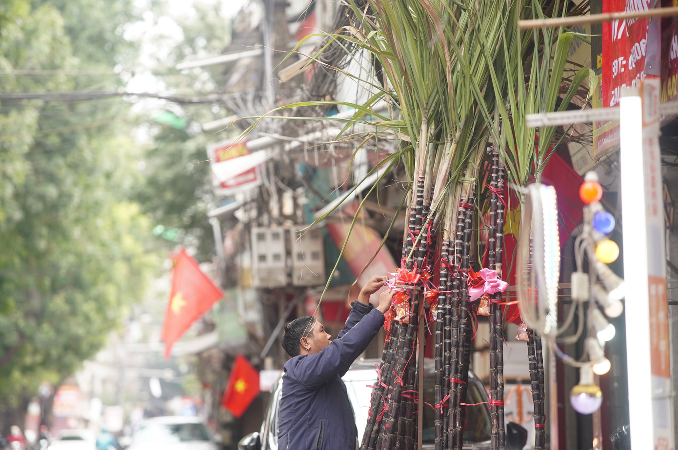 Vì lẽ này mà sau giao thừa, mía lộc đặc biệt là các cây mía đẹp còn nguyên ngọn lá gốc rễ được nhiều người dân săn đón.