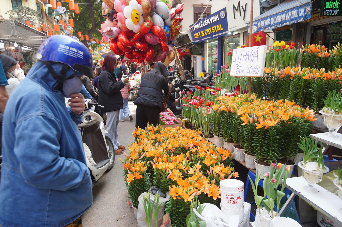 Những chậu ly bán tháo với giá 80.000 đồng/chậu hút khách.