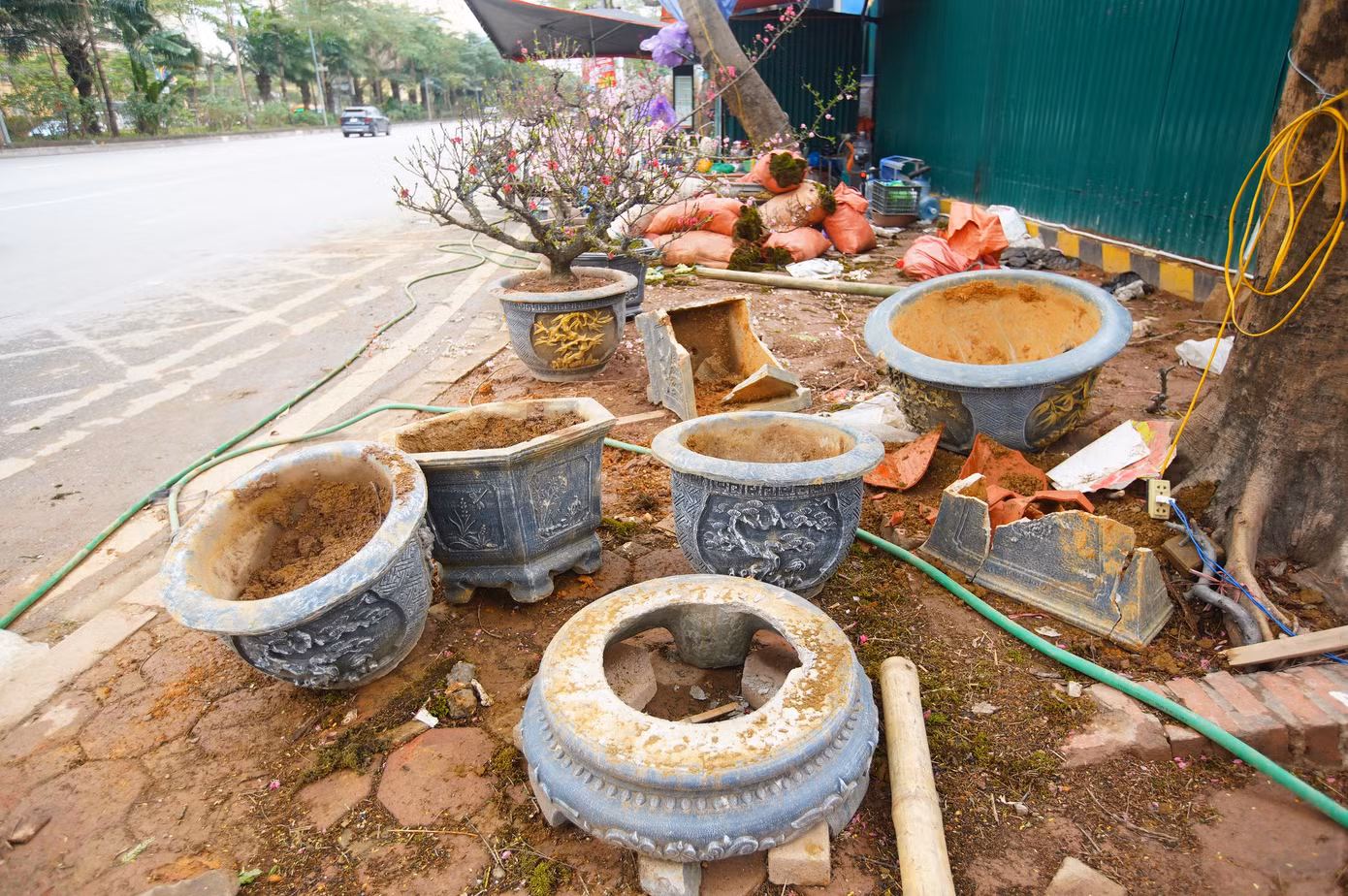 Chậu hoa sót lại trên vỉa hè.