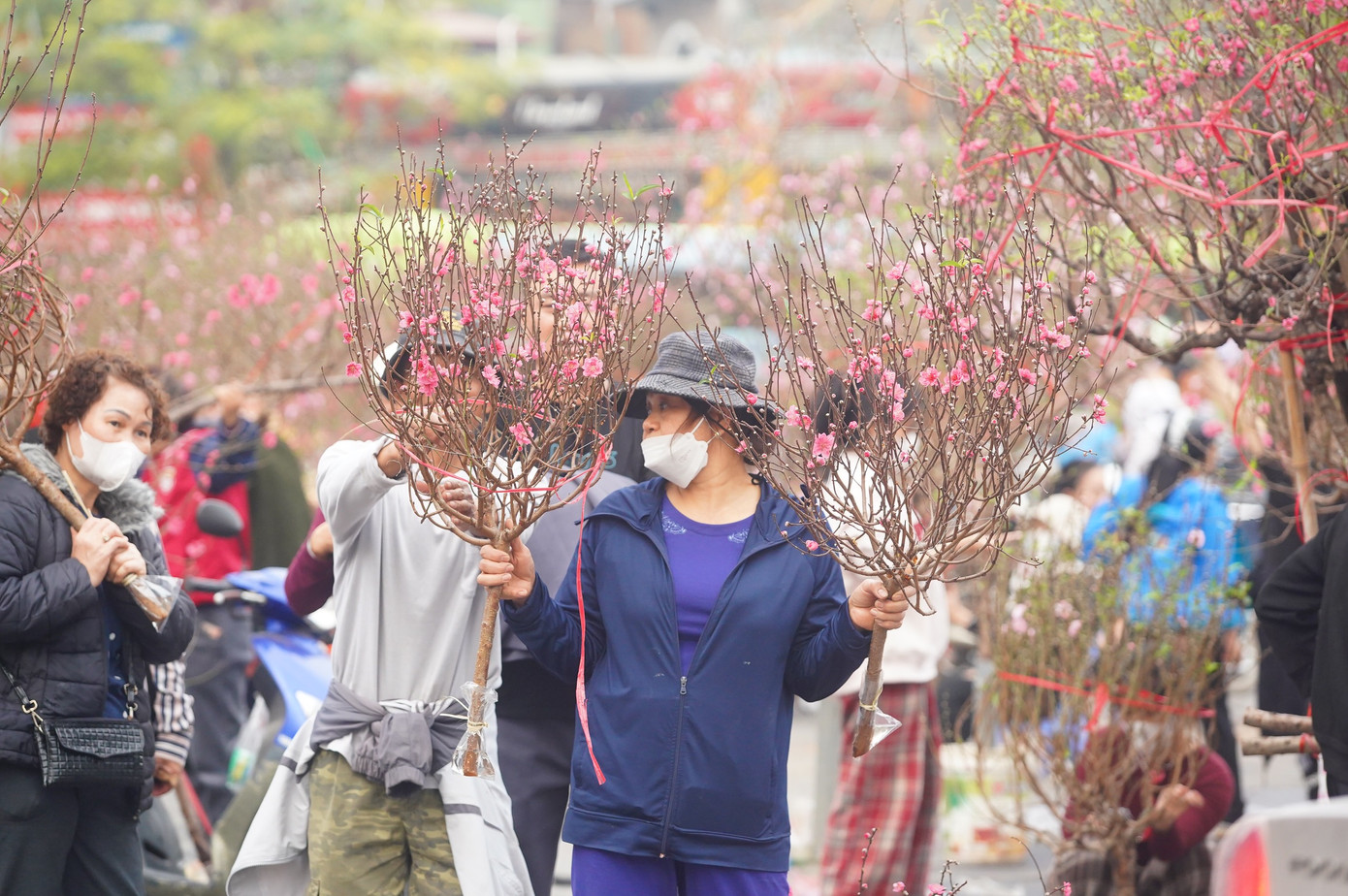 Khu vực bán đào trên đường Lạc Long Quân.