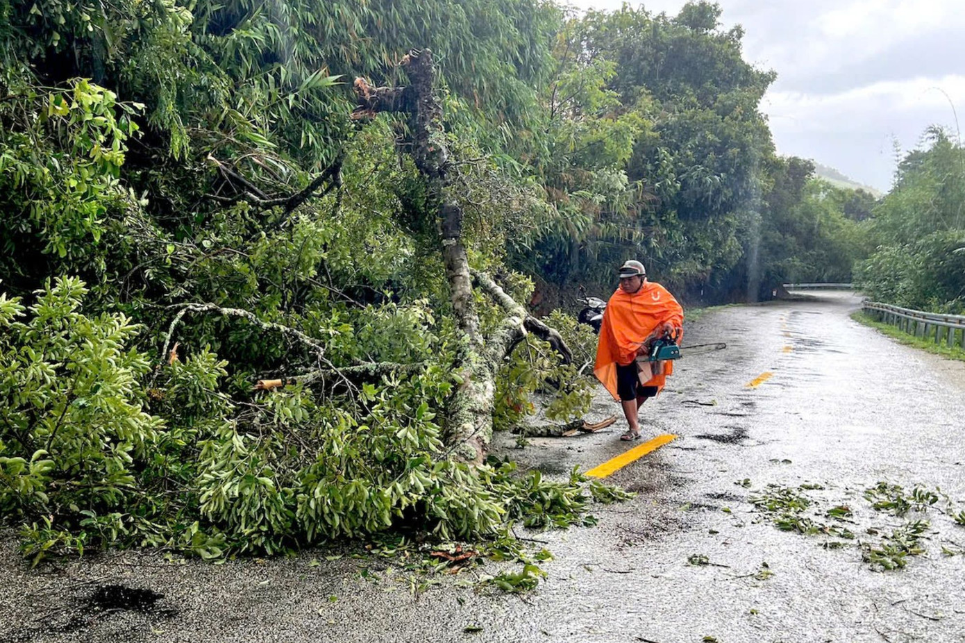 Chính quyền xử lý cây gãy đổ, ách tắc giao thông trên Quốc lộ 40B Chính quyền xử lý cây gãy đổ, ách tắc giao thông trên Quốc lộ 40B