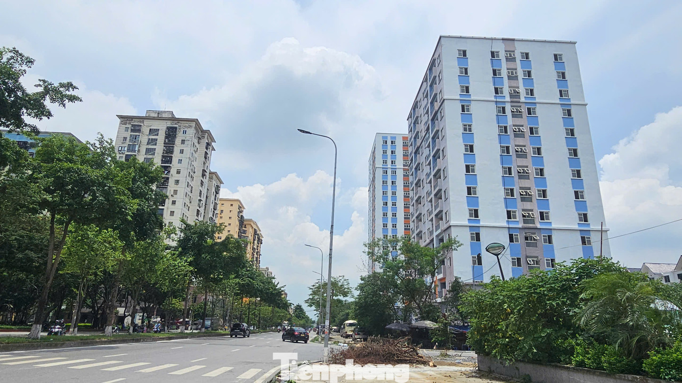 Theo tìm hiểu, 3 toà chung cư cao hơn 10 tầng thuộc dự án Khu nhà ở tái định cư Đền Lừ III được xây xong từ năm 2017, nằm ở vị trí "đắc địa" trên phố Tân Mai, gần công viên, chợ đầu mối, giao thông đi lại thuận tiện, nhưng nhiều năm qua bị bỏ hoang…