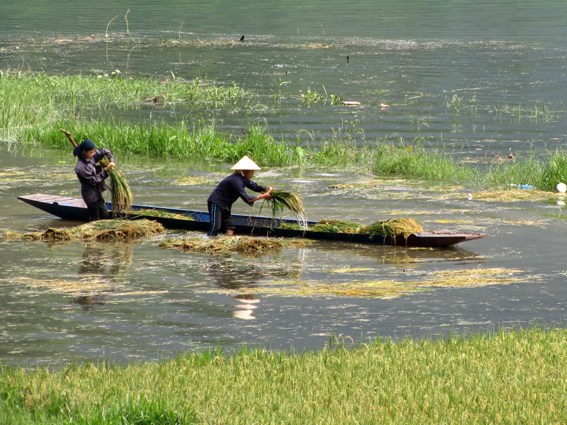 Hoặc sau các trận mưa lớn. Hoặc sau các trận mưa lớn