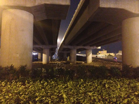 Khu vực gầm cầu Bình Lợi, nơi xảy ra vụ án