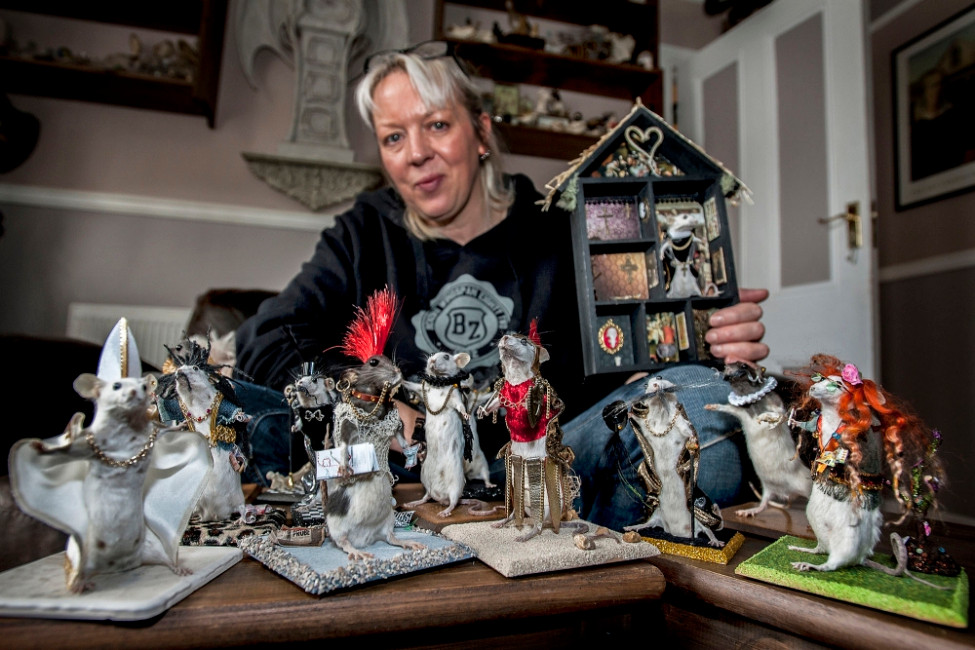 Bộ sưu tập xác ướp chuột của cô Liz David