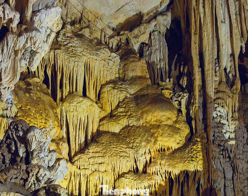 Khách đến tham quan Chi Đảy chủ yếu là người địa phương và người dân ở đây ví von Chi Đảy vẫn như "người đẹp ngủ trong rừng", chưa thu hút được đông đảo khách du lịch trong và ngoài nước đến chiêm ngưỡng.