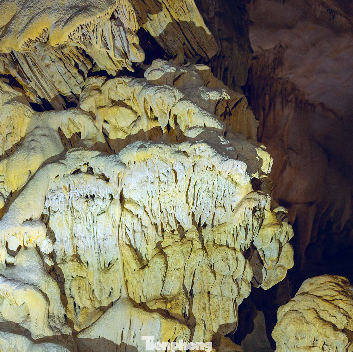 Khách đến tham quan Chi Đảy chủ yếu là người địa phương và người dân ở đây ví von Chi Đảy vẫn như "người đẹp ngủ trong rừng", chưa thu hút được đông đảo khách du lịch trong và ngoài nước đến chiêm ngưỡng.