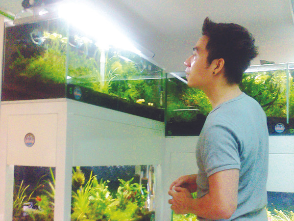 Chăm sóc tép cảnh. Ảnh: T.N.A . Chăm sóc tép cảnh Ảnh: T.N.A