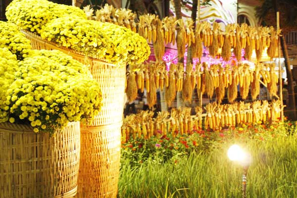 Hoa bắp – hình ảnh đậm chất nông thôn Việt Nam