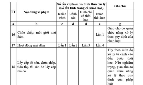 Sinh viên sư phạm nói gì về quy định bán dâm 4 lần bị đuổi học ảnh 1