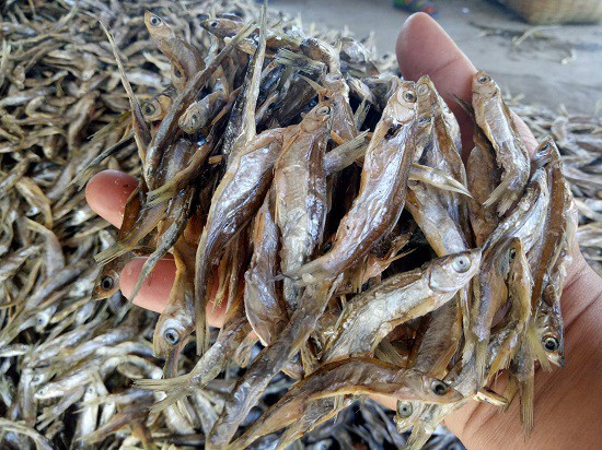 Kiếm bộn tiền từ nghề cá khô sông Đà ảnh 9