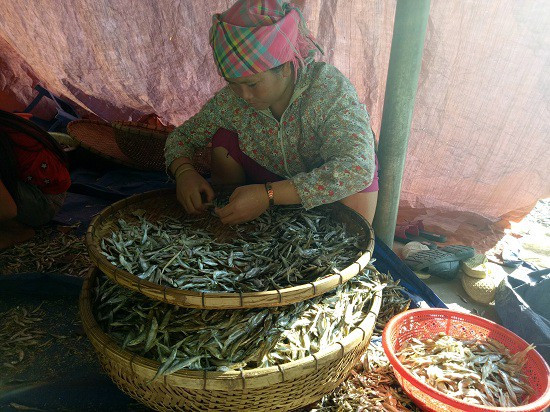 Kiếm bộn tiền từ nghề cá khô sông Đà ảnh 8