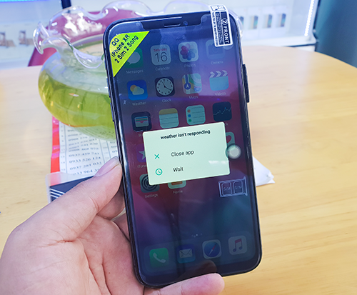 iPhone Xr chưa bán ra, đã có hàng nhái tại Việt Nam ảnh 1