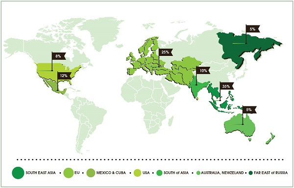 Thép Nam Kim – Khẳng định vị thế trên thị trường quốc tế ảnh 1
