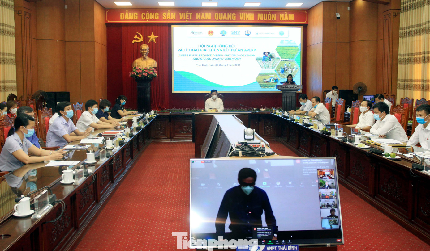 Lãnh đạo tỉnh Thái Bình tham dự lễ trao giải được tổ chức trực tuyến - Ảnh: Hoàng Long