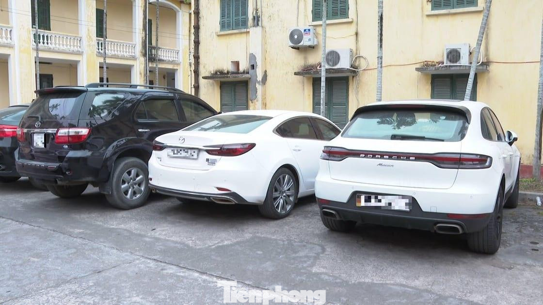 Tang vật thu giữ trong vụ án cá - Ảnh: Hoàng Long